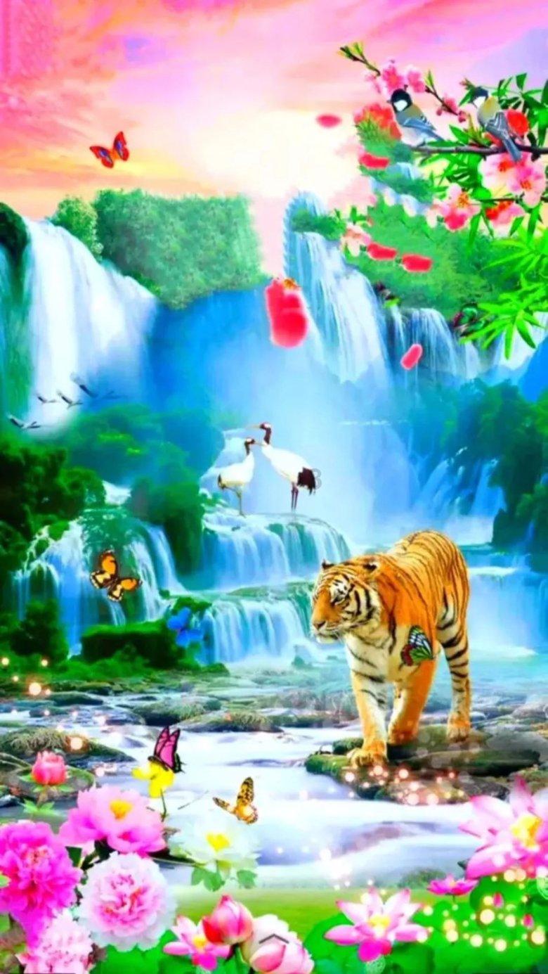 探索蜗牛世界-我年龄看起来像多大的?蜗牛问答平台