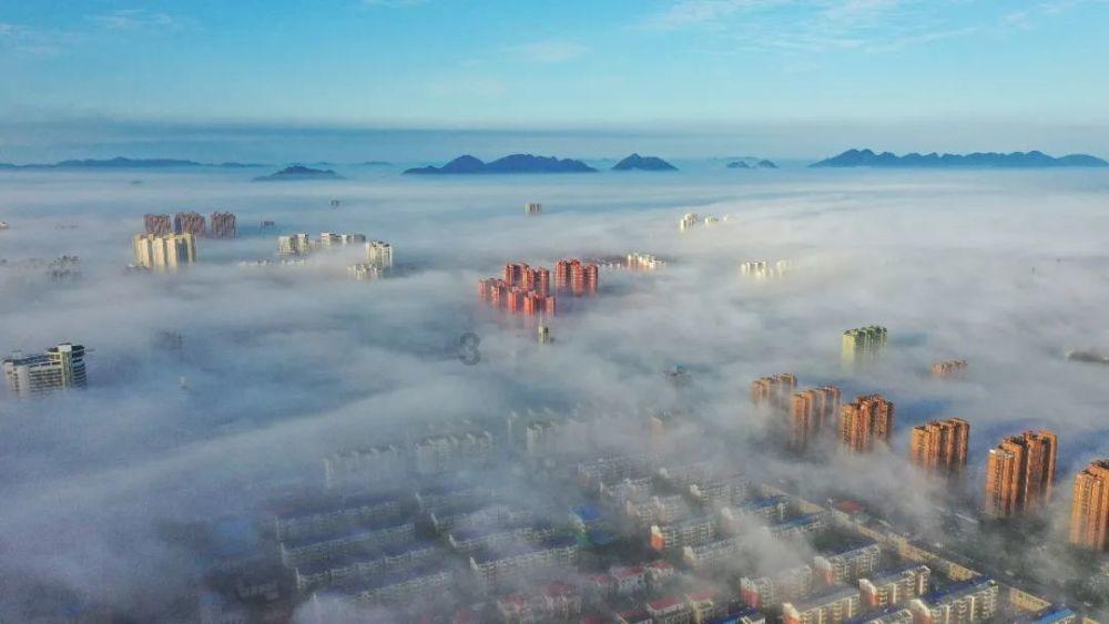 虫虫助手下载