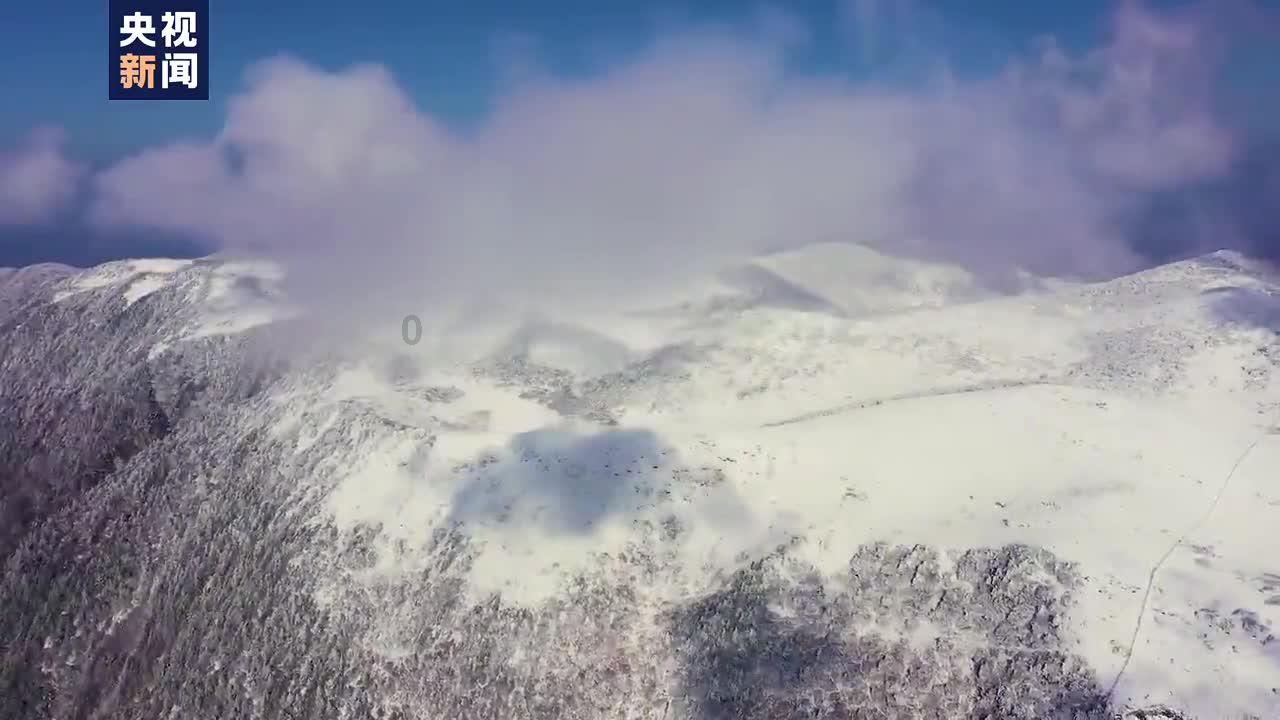 燃烧吧大脑免广告最新版