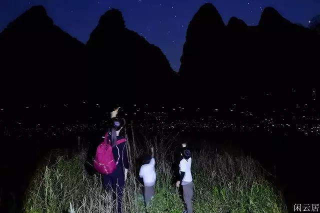 全民烧脑3去广告版