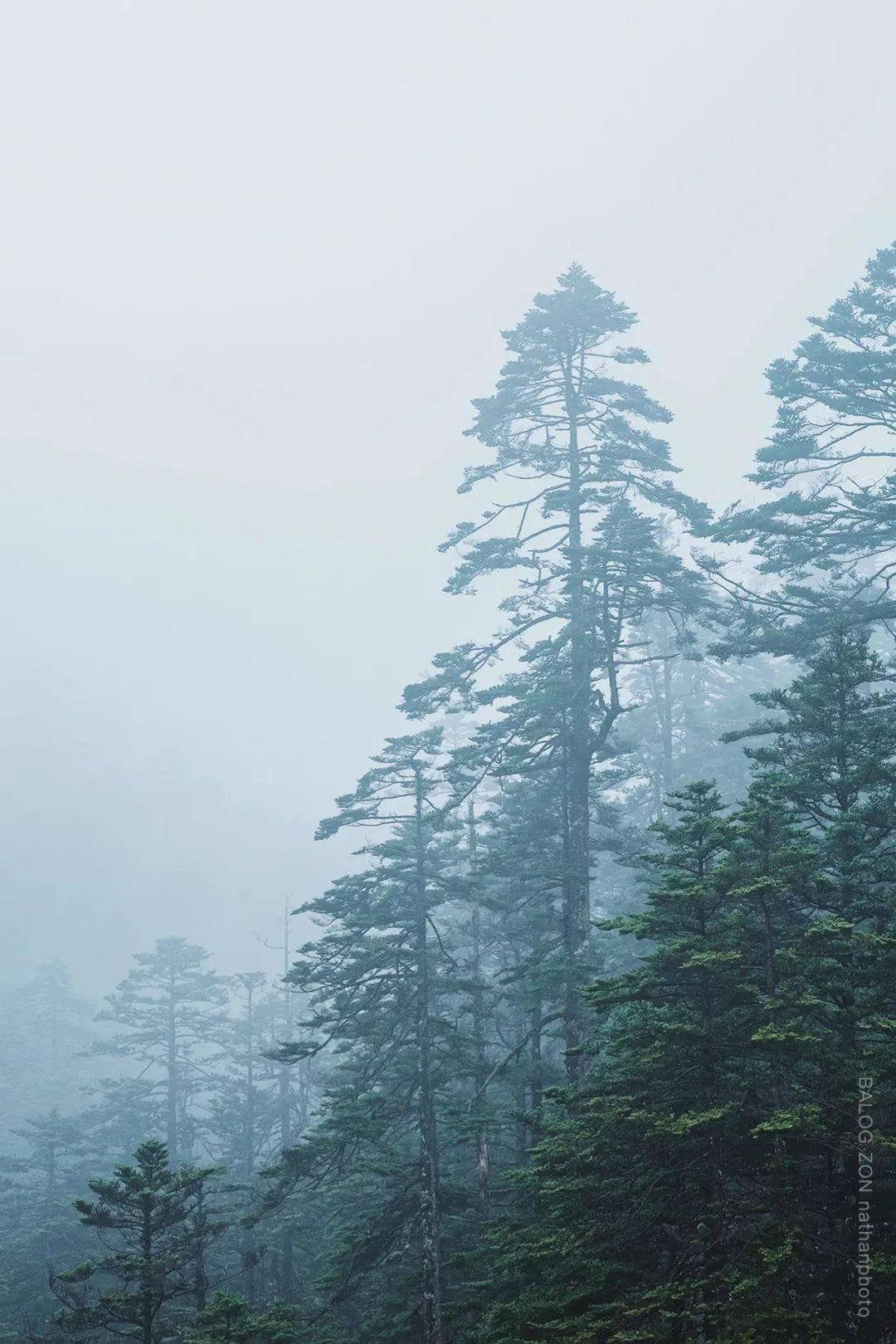 问答类网站 - 四川有哪些土特产 - 解决你的问题